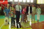 Фото победителей выставки с судьями и организаторами выставки